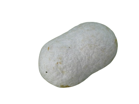 silk image